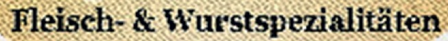 fleisch Font sample to identify the typeface on WhatFontIs