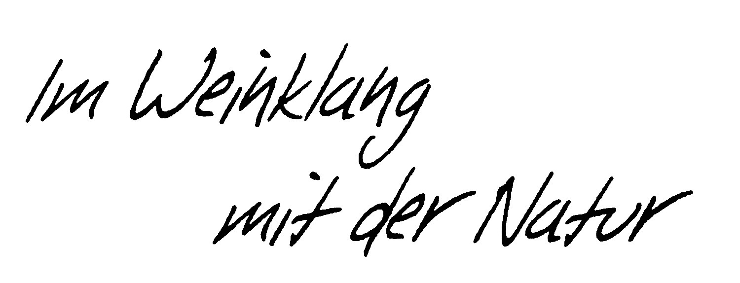 What font is? Font sample to identify the typeface on WhatFontIs