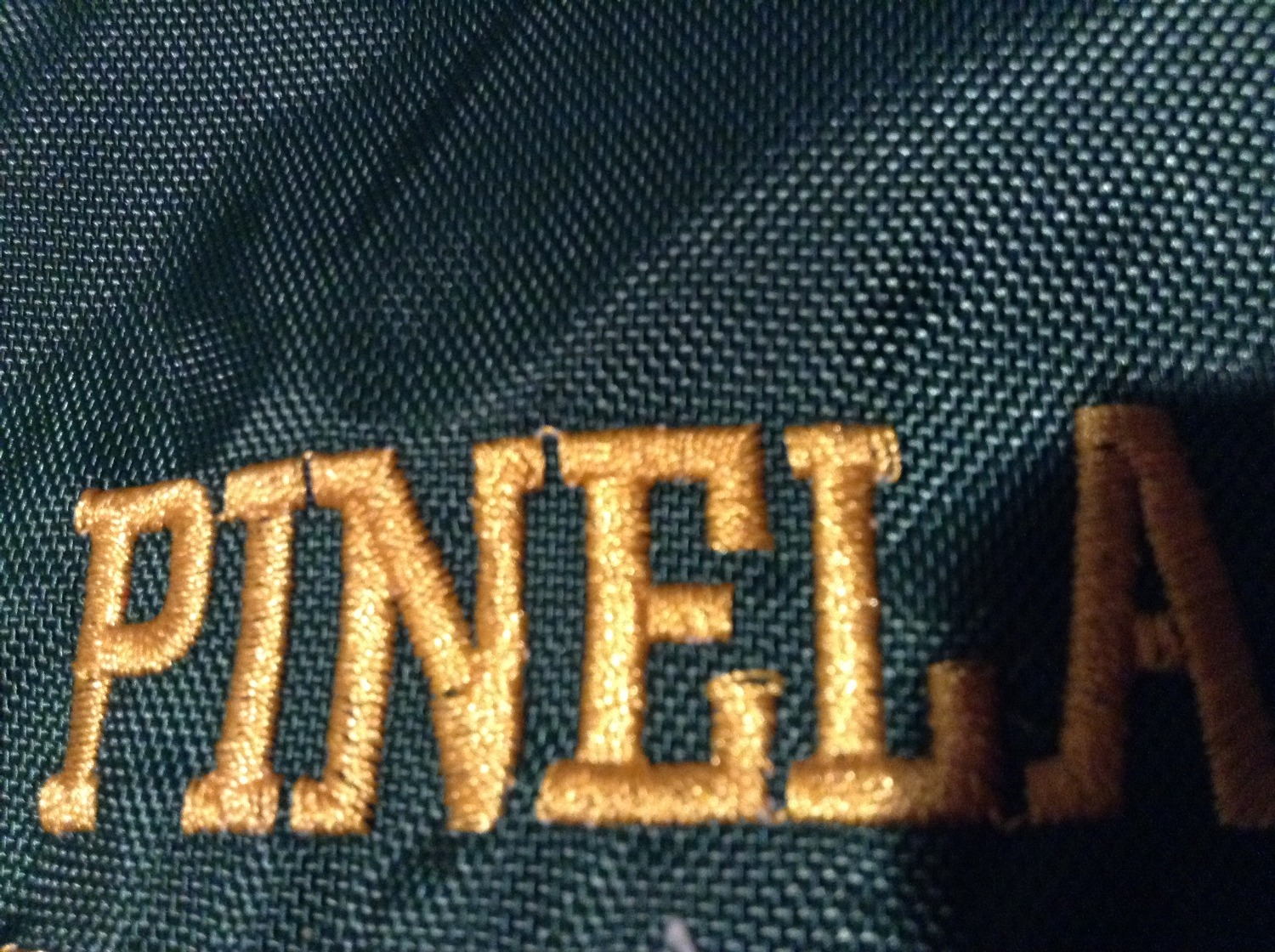 Pinelands high school Font sample to identify the typeface on WhatFontIs