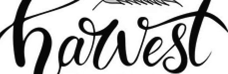 Is this a font?