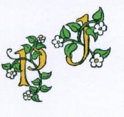 Identifier cette police d'&Atilde;&copy;criture Font sample uploaded by PETIT to identify the typeface on WhatFontIs