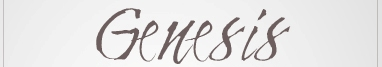 What font is this? Font sample to identify the typeface on WhatFontIs