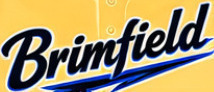 NEED THIS FONT URGENTLY Font sample to identify the typeface on WhatFontIs