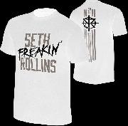 Font on the words "SETH" and "ROLLINS"
