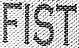 Vader´s Fist 501 Legion