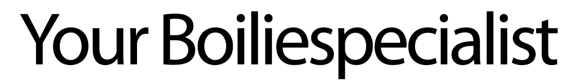 Your Boiliespecialist Font sample to identify the typeface on WhatFontIs