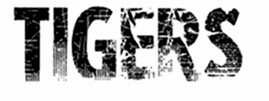 TIGERS Font sample to identify the typeface on WhatFontIs