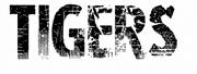 TIGERS Font sample uploaded by charmingst to identify the typeface on WhatFontIs
