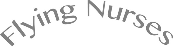 flying Nurses Font sample to identify the typeface on WhatFontIs