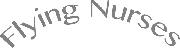 flying Nurses Font sample uploaded by charmingst to identify the typeface on WhatFontIs