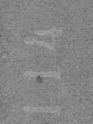 what font is? Font sample uploaded by caranci to identify the typeface on WhatFontIs