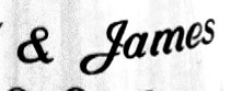 Looking for this J Font sample to identify the typeface on WhatFontIs