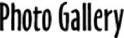 What font is this? Font sample uploaded by fieldsofgarlic to identify the typeface on WhatFontIs