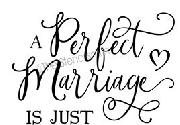 perfect marriage script font