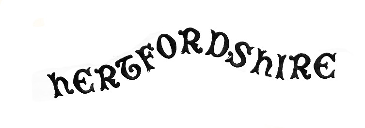 I need help identifying this font Font sample to identify the typeface on WhatFontIs