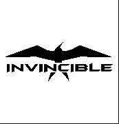 What font is this? From invincible boats.