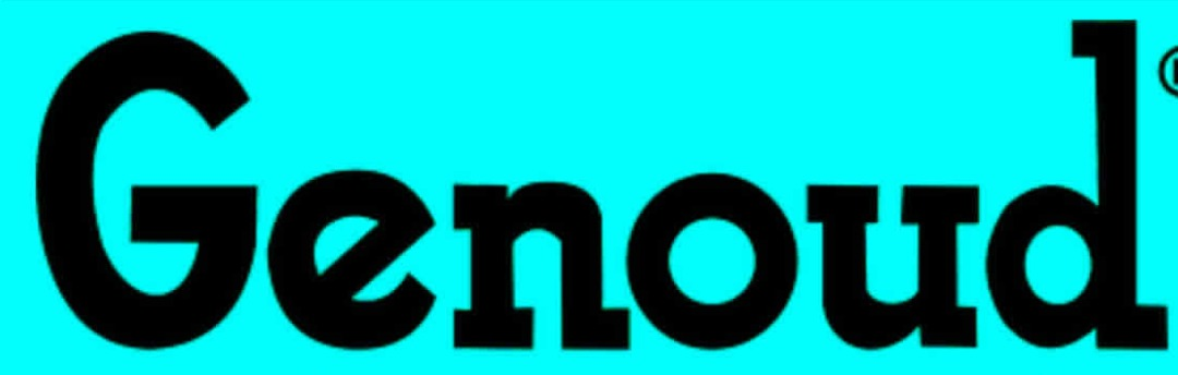 What the font? Font sample to identify the typeface on WhatFontIs