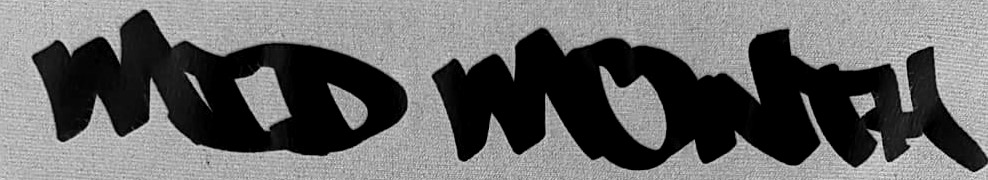 Looking for this font  Font sample to identify the typeface on WhatFontIs