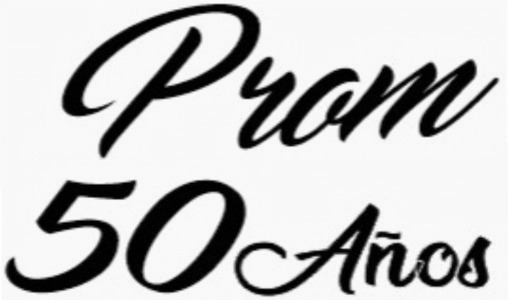 Please I really need these fonts. Font sample to identify the typeface on WhatFontIs