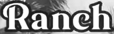 What font is 
