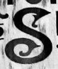 gothic  Font sample to identify the typeface on WhatFontIs