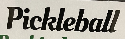 Pickleball Flyer Font sample to identify the typeface on WhatFontIs