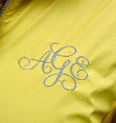 Unknown Script Font Font sample uploaded by sassystitches to identify the typeface on WhatFontIs