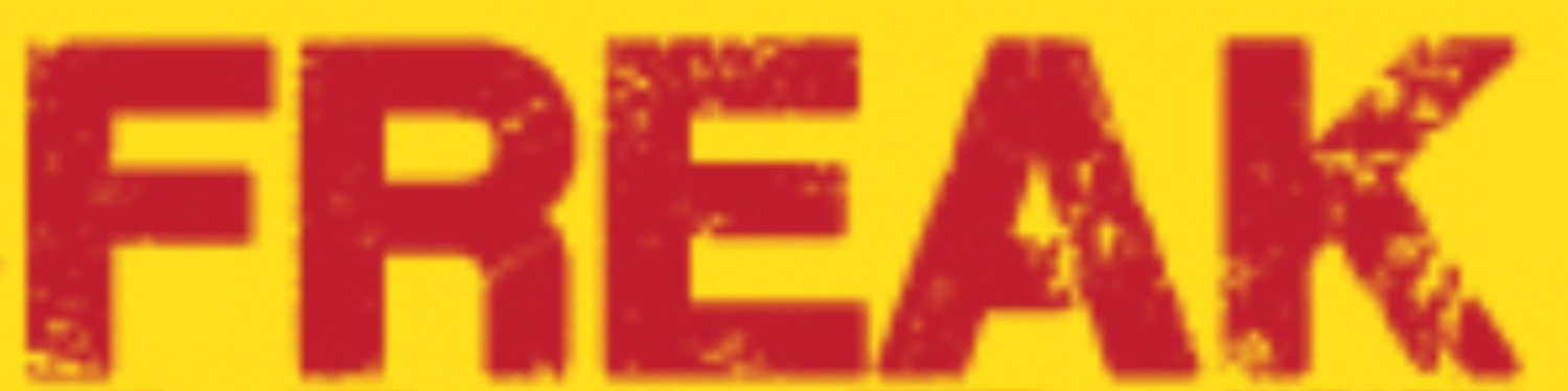 FREAK Font sample to identify the typeface on WhatFontIs