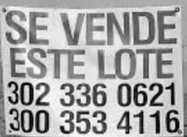 Please this font. Font sample to identify the typeface on WhatFontIs