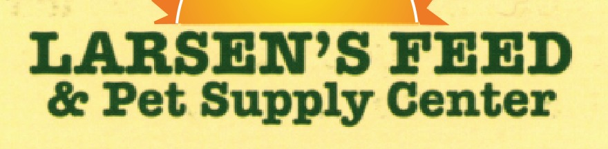 not quite typewriter Font sample to identify the typeface on WhatFontIs