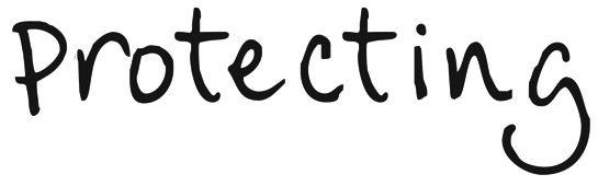 Protecting Font sample to identify the typeface on WhatFontIs