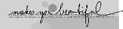 Handwritten Script Font sample uploaded by wmcveigh to identify the typeface on WhatFontIs