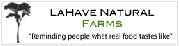 WHat is the font? Font sample uploaded by jayvly to identify the typeface on WhatFontIs