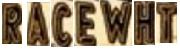 RACE Font sample uploaded by charmingst to identify the typeface on WhatFontIs