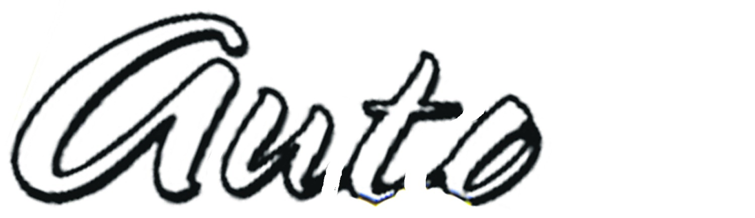 auto max car sales logo 2005 Font sample to identify the typeface on WhatFontIs