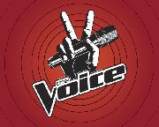 The Voice Font sample uploaded by gsuslikesme to identify the typeface on WhatFontIs