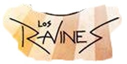 band font Font sample to identify the typeface on WhatFontIs