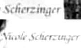 Difficult case Scherzinger