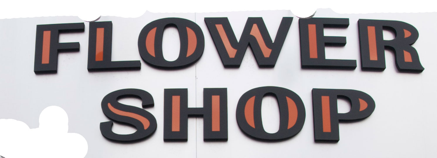 What font is this? Font sample to identify the typeface on WhatFontIs