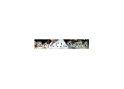 Do you know what this font is?