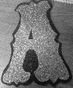 I need to know what font is Font sample uploaded by Dirgni to identify the typeface on WhatFontIs