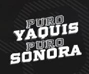 PURO SONORA FONT