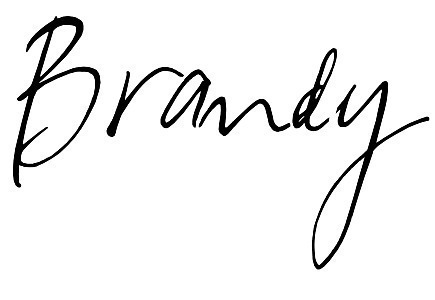Brandy Logo by nateh1st3d 81063