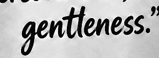 gentleness Font sample to identify the typeface on WhatFontIs