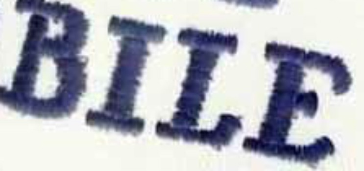 MOBILE Font sample to identify the typeface on WhatFontIs