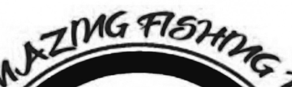 AMAZING Font sample to identify the typeface on WhatFontIs