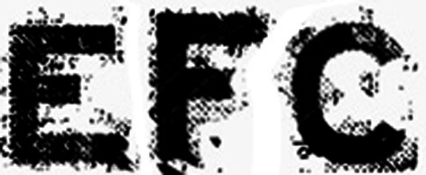 EFC Font sample to identify the typeface on WhatFontIs