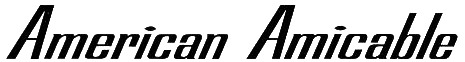 American Amicable Font sample to identify the typeface on WhatFontIs