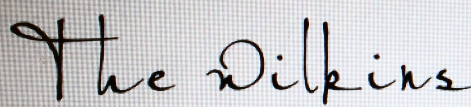 What font/script? Font sample to identify the typeface on WhatFontIs