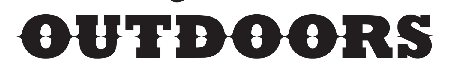 What font is this? Font sample to identify the typeface on WhatFontIs